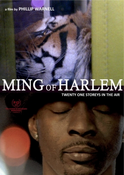 Ming of Harlem: Twenty One Storeys in the Air