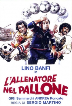 L'allenatore nel pallone